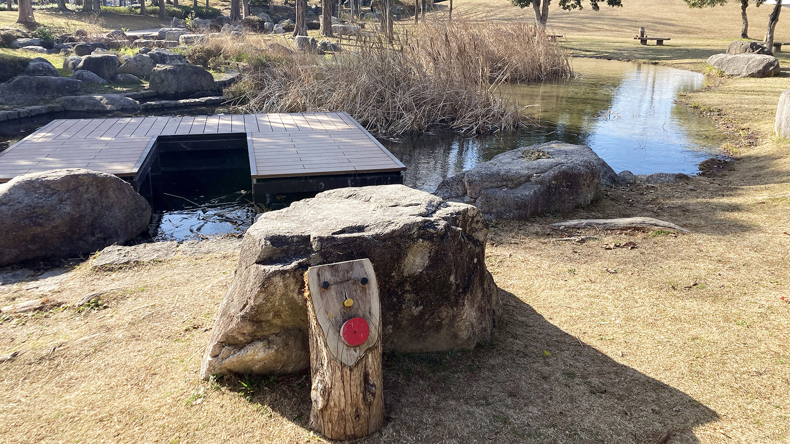 西部運動公園のビオトープエリアの池と木製アート