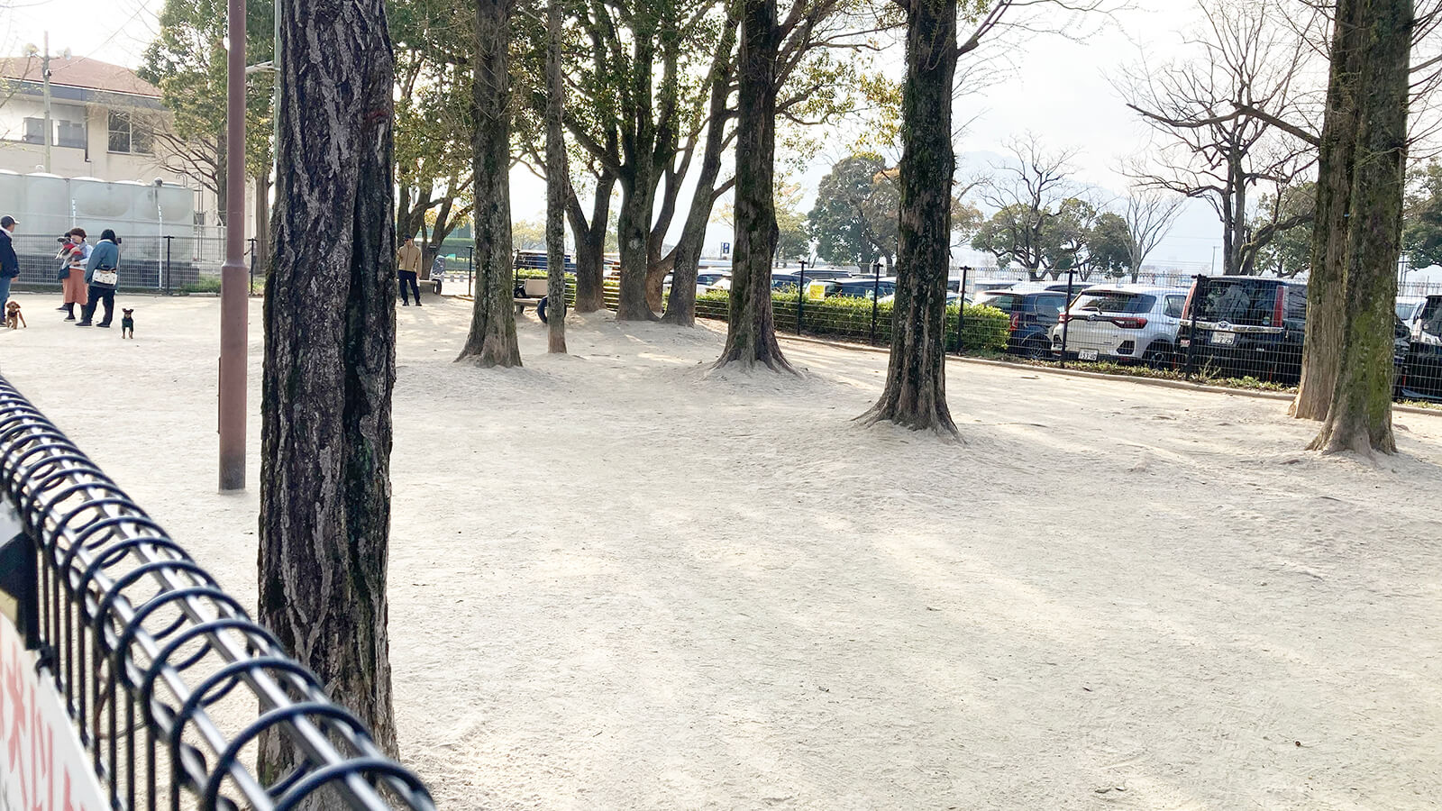 西部運動公園のドッグラン小型犬エリア