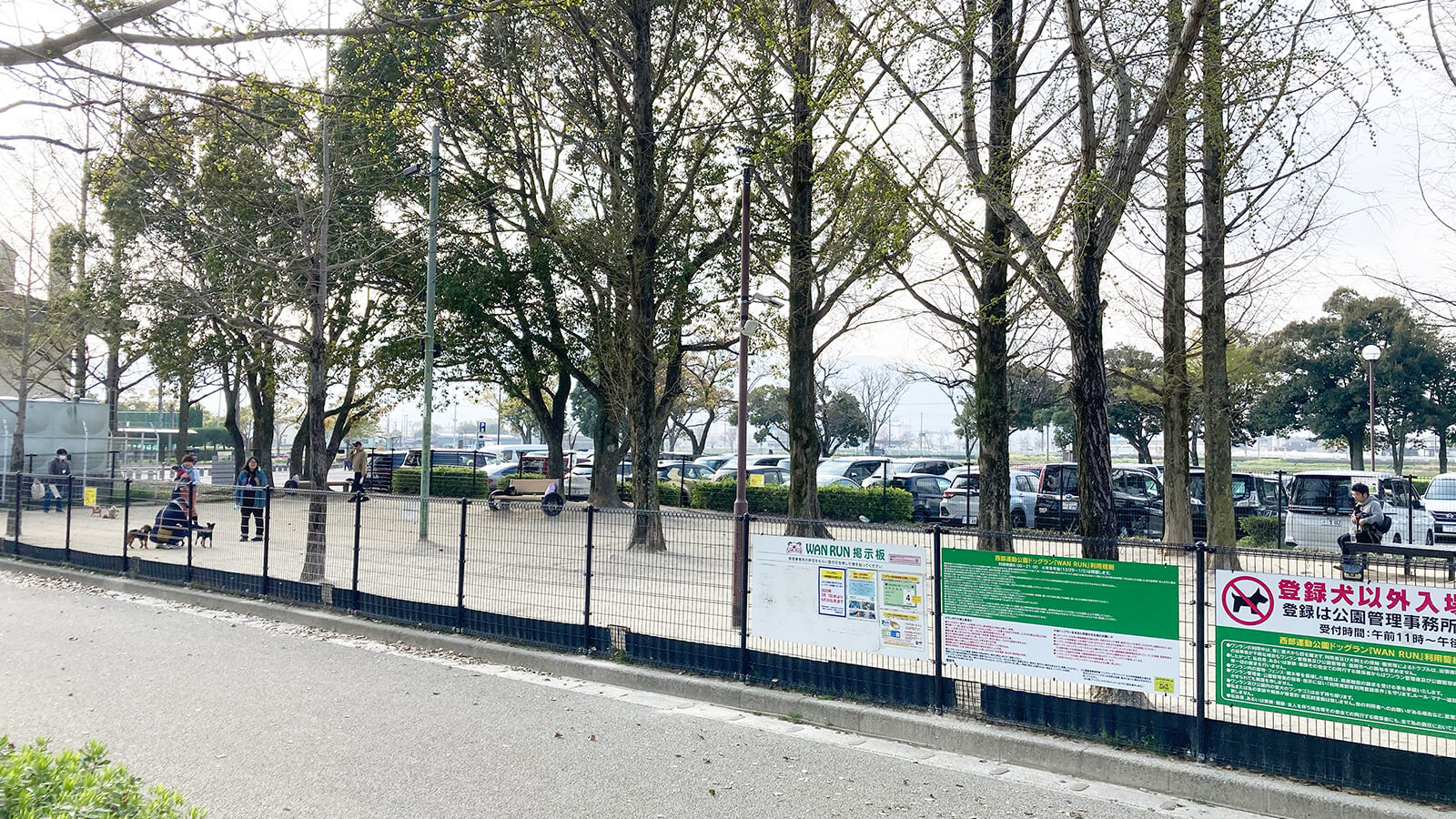 西部運動公園のドッグラン全体